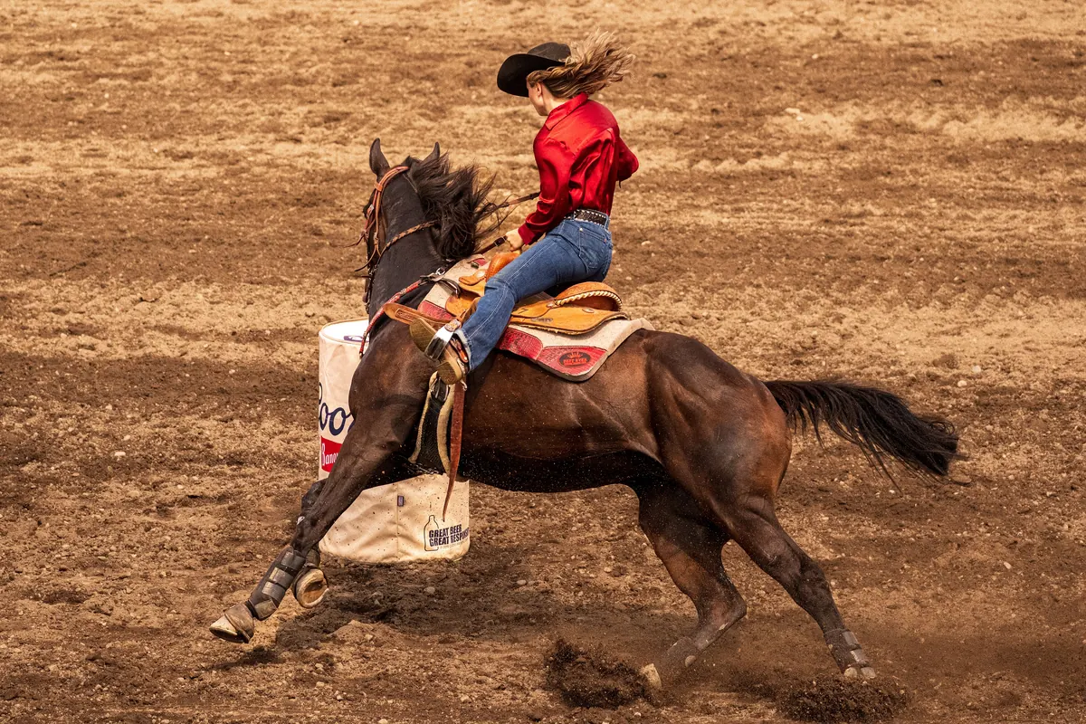Ein Reiter in einem roten Hemd, der bei einem Rodeo im US-Bundesstaat Washington ein braunes Pferd um ein Fass lenkt.