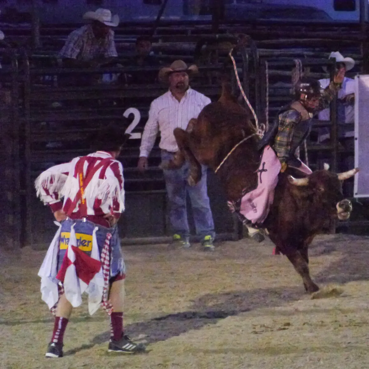 Ein Reiter mit Helm und Chaps auf einem bockenden braunen Bullen bei einem Nacht-Rodeo in Texas, während ein Rodeo-Clown zusieht.